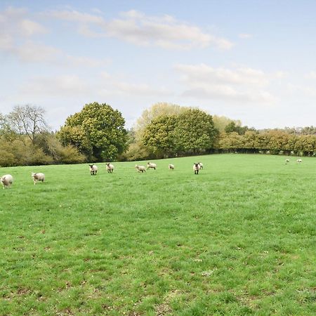 Farmhouse Garden Shepherds Hut Thursley Extérieur photo