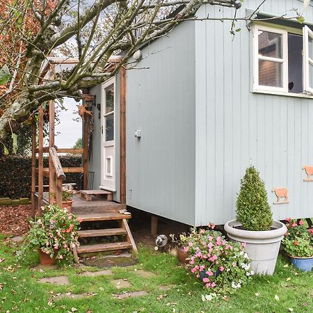 Farmhouse Garden Shepherds Hut Thursley Extérieur photo